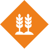 Briliant-Produce-icon