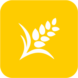 icon1